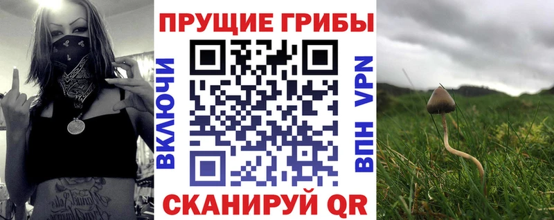 закладки  Электроугли  Псилоцибиновые грибы ЛСД 